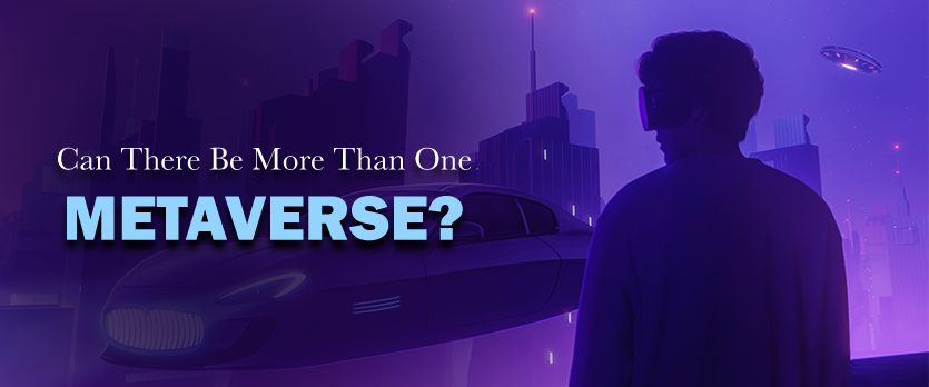 More Than One Metaverse