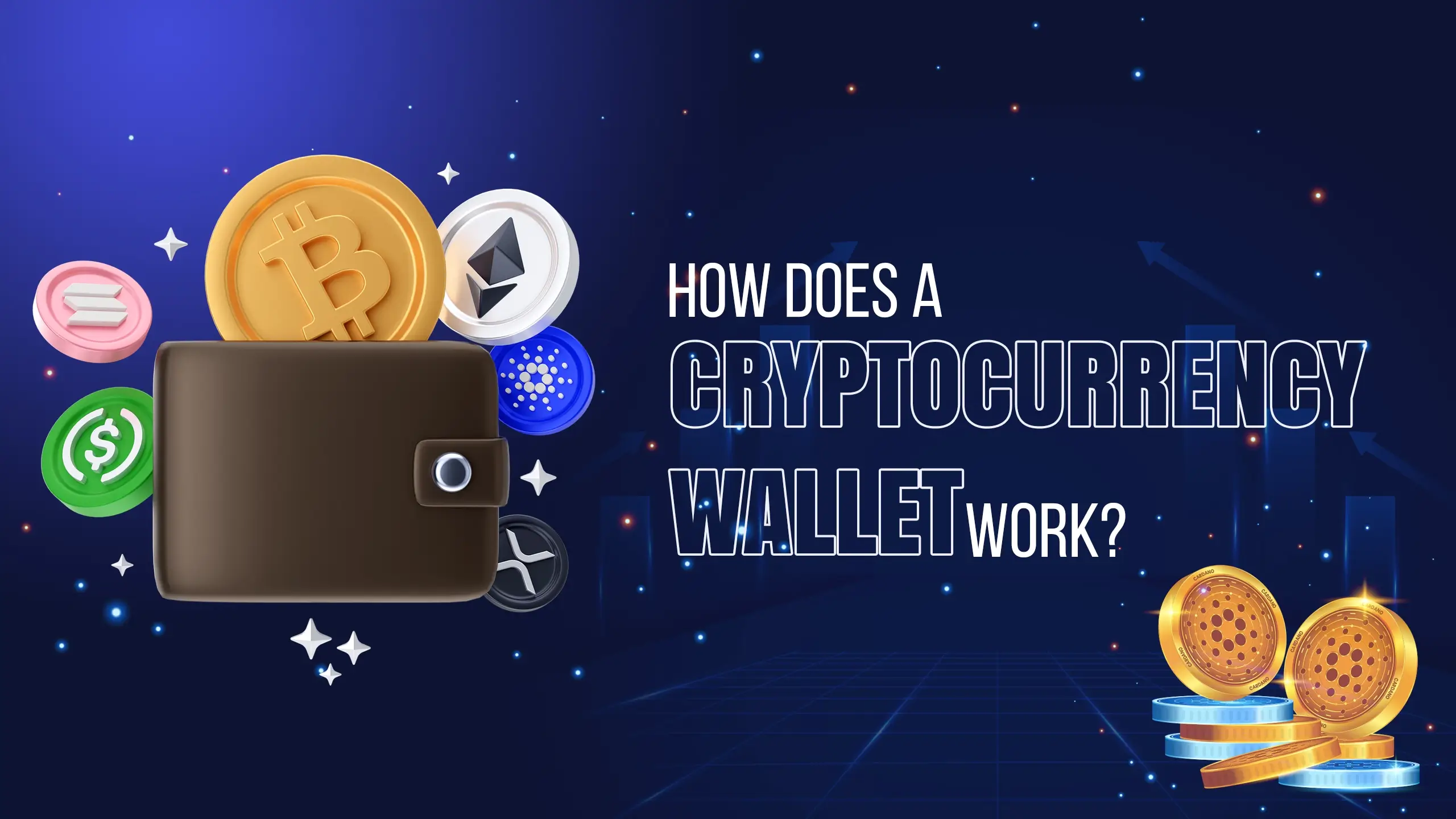 Cryptocurrency Wallet